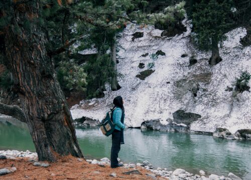 Kashmir Luxuary Package 7 Days 6 Nights